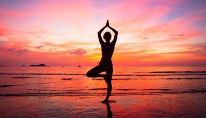 Surya Namaskar Yajna recognised in US Congress