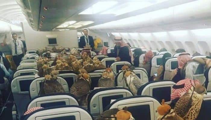 In an age of austerity, Saudi prince buys airplane seats to transport 80 falcons
