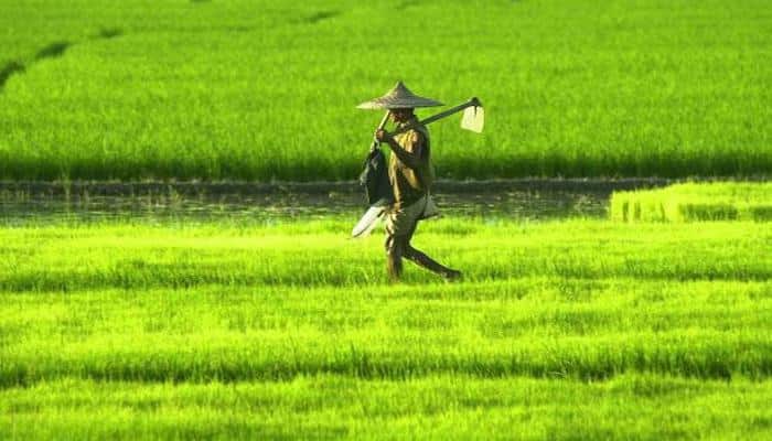 Agri credit raised to record Rs 10 lakh crore in FY18
