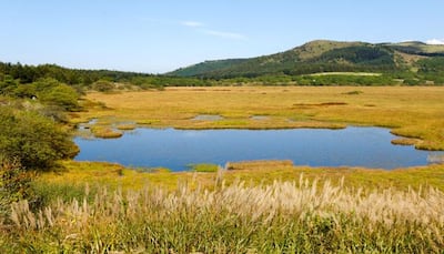 Wetlands: Why we need to take care of them, what can we do?