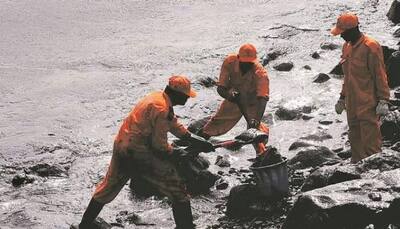 Chennai oil spill spreads at alarming pace; hits marine life severely