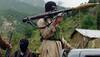 LeT militant arrested in south Kashmir's Pulwama, hand grenades seized