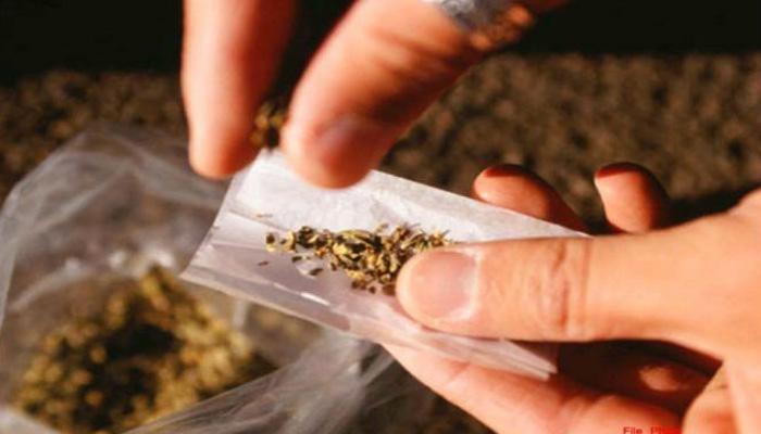 The Dangerous Impact of Synthetic Weed on the Brain