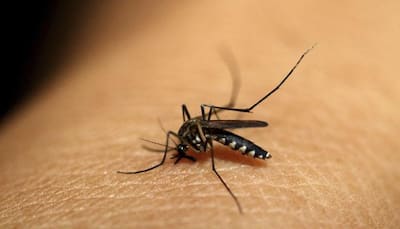 Malaria causing superbugs can enter India, warns scientist
