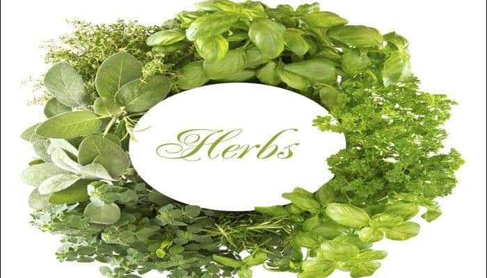 Four herbs that can help combat cancer!