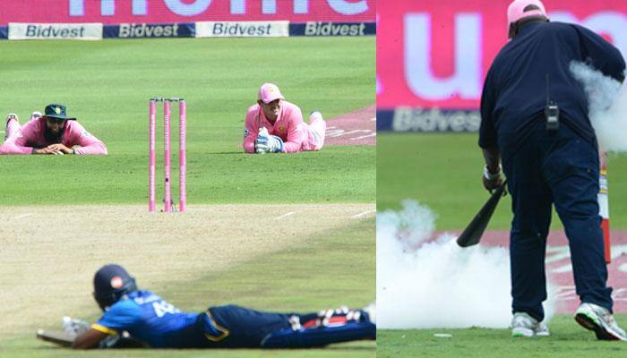 WATCH: Beekeepers to the rescue as a swarm of bees disrupt play at Wanderers stadium