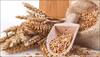 Cancer-fighting foods: Seven reasons to eat more whole grains