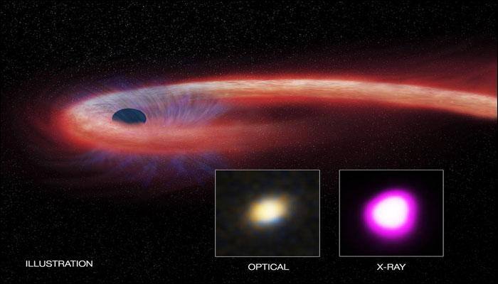 NASA discovers giant black hole that feasted on star for a decade, setting record for meal's length and size!