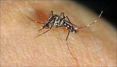Government to do nationwide survey for dengue epidemiology