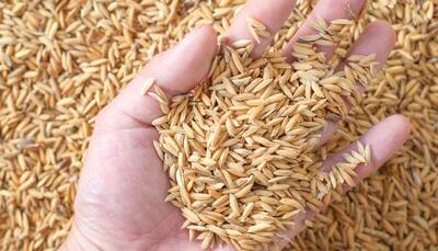 Want to get back in shape? Consuming brown rice is the solution!