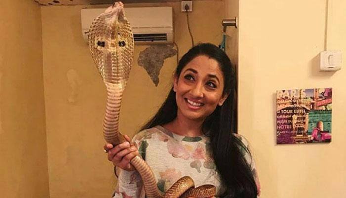 Shruti Ulfat's video with cobra goes viral; actress denies being arrested