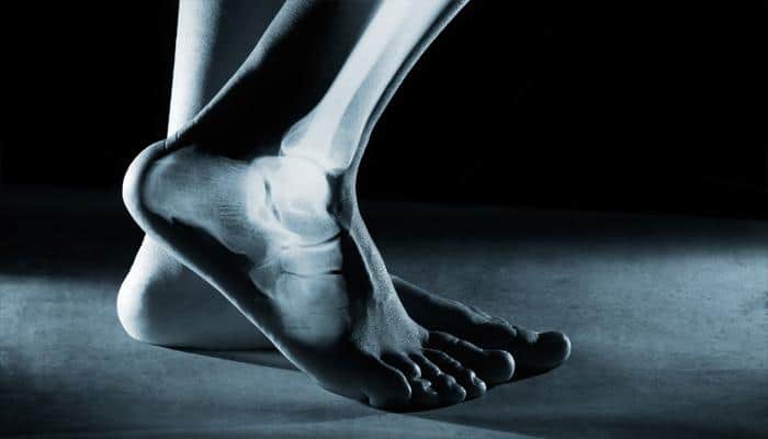 Decoded: How humans got their foot structures to walk upright