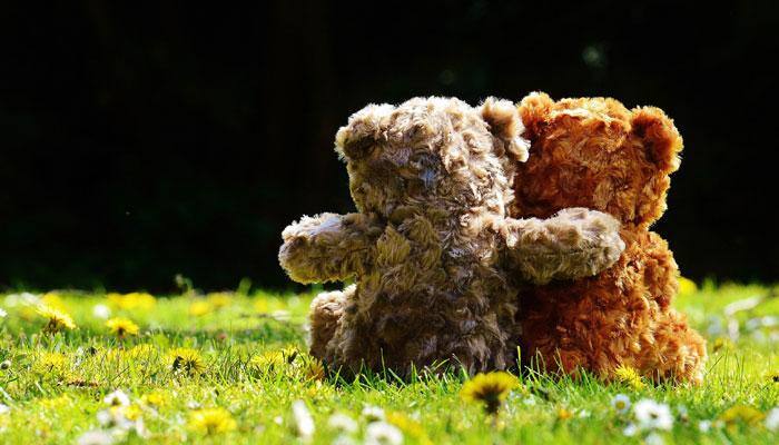 Valentine's Week Day 4: Here's how you can celebrate Teddy day in a fun and crazy way!
