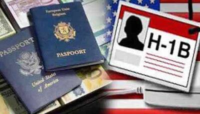 H1B visa issue: Govt seeks data from industry to take up matter with US 