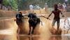 Kambala Bill, inspired by Jallikattu Bill in Tamil Nadu, passed in Karnataka Assembly
