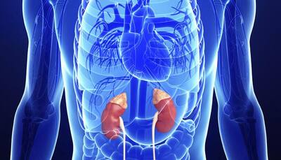 Anti-ageing hormone 'Klotho' could prevent kidney disease in diabetics