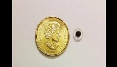 Researchers develop magnetic implant to provide new drug delivery method