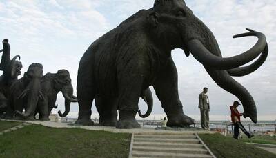 'Extinct' woolly mammoth may be back to Earth in two years – Know how