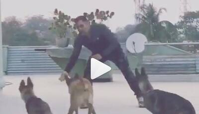 WATCH: MS Dhoni wins the Internet again, posts lovely video of him playing with dogs