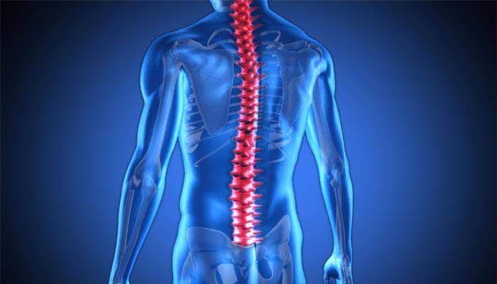 It's your spinal cord which determines left or right-handedness' 