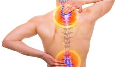 Improved mobility to people with damaged spinal cord 