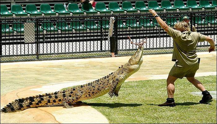 Remembering Steve Irwin: Nine facts about 'The Crocodile Hunter' on his 55th birthday