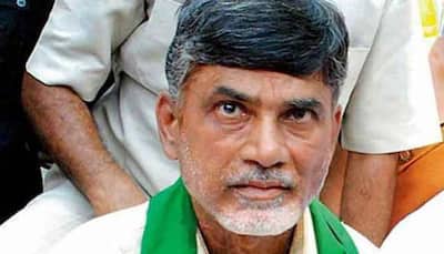 Andhra Pradesh CM N Chandrababu Naidu saddened by Indian's killing in US