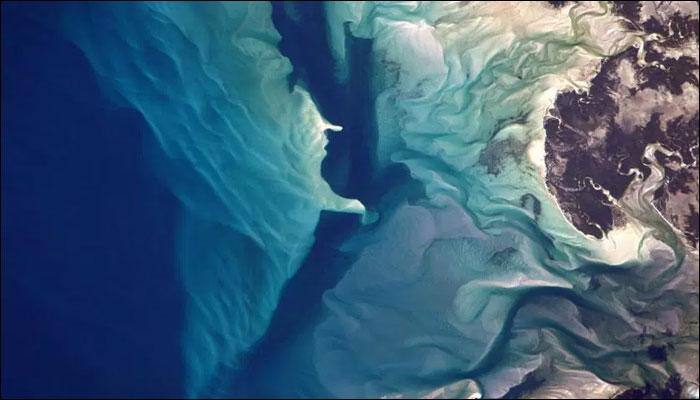 Scientists to test 50 coral reefs to seek ways to counter climate change 