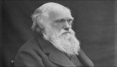 Darwin's theory of living fossils' finally gets a shoulder 