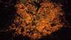 Spotted: Bengaluru, India looks captivating from 250 kilometers above Earth – ISS astronaut shares image!