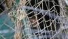 latest news of kashmir