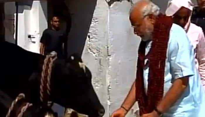 PM Narendra Modi visits Gadhwa Ghat Ashram, feeds cows with fodder and &#039;gur&#039; – Watch video