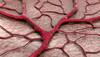 3D-printed, life-like blood vessel network created to pave way for artificial organs