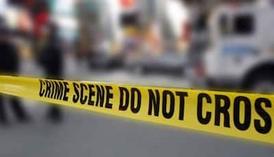 Delhi hit-and-run: Police arrests 'killer' Mercedes owner Savneet Singh