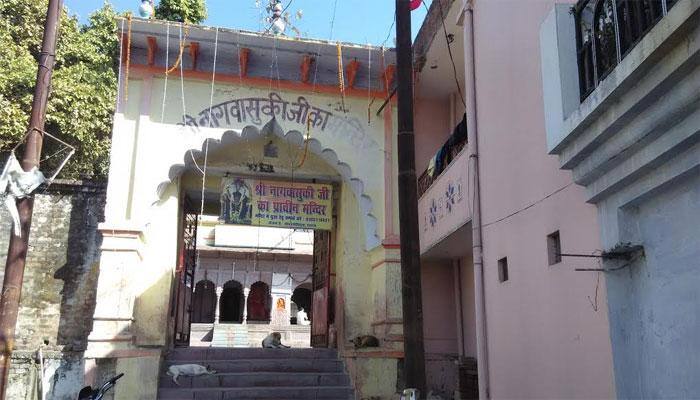 Nagvasuki Temple – where devotees come to get rid of &#039;Kal Sarp Dosha&#039;