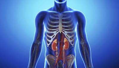 Chronic kidney disease: What you should not forget