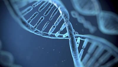 Gene that causes sudden death in youngsters identified