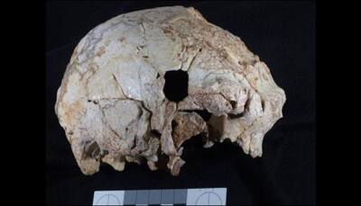 Secret of human evolution may be hidden inside 400,000-year-old skull!