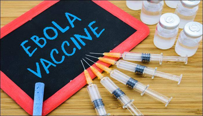 Two-part vaccine regimen to fight Ebola may offer a year's protection