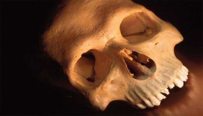 Do you know human skull hole evolved with walking on two legs? - Read