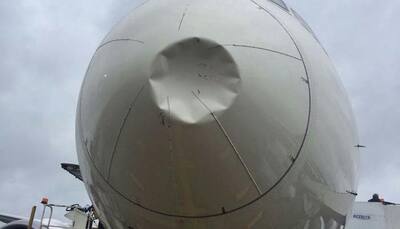 Air India's Ahmedabad to London flight suffers bird hit - See pic