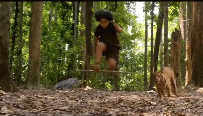Incredible! This video of a boy being saved from a menacing tiger has over 10 lakh views – WATCH