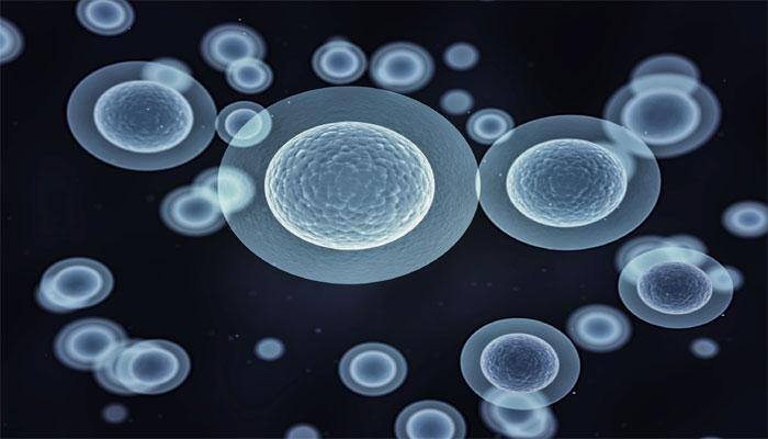 Man with 45% burns healed with stem cell treatment