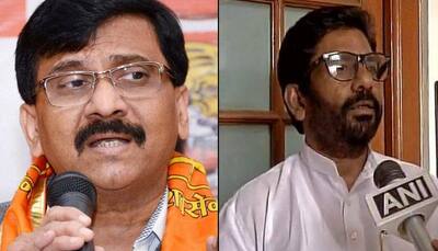 Ravindra Gaikwad assaults Air India staffer: Shiv Sena says will 'raise hand' where needed, targets airline