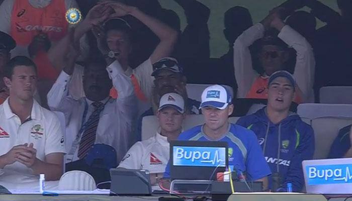 Collective brain fade: Australians celebrate Mathew Wade fifty little too early, then sulk — WATCH