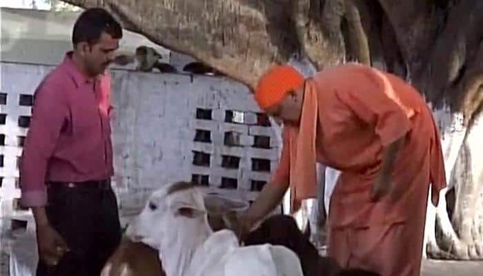 UP CM's Day 2 of Gorakhpur visit: Know full day schedule of Yogi Adityanath