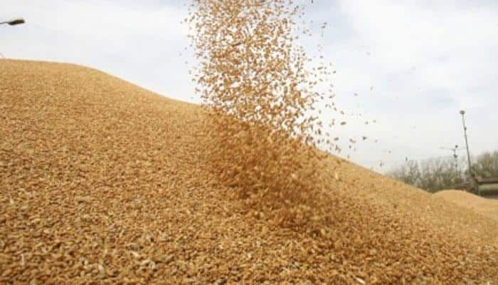Govt imposes 10% import duty on wheat, tur dal to protect farmers' interest