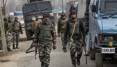 If PAVA fails, forces may use pellet guns in Kashmir: Govt