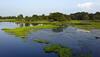 World's largest river island
