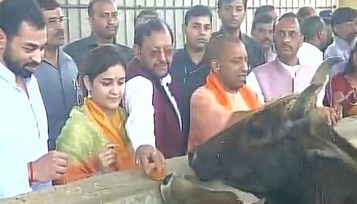 Yogi Adityanath visits 'Kanha Upvan' - cow shelter run by Mulayam's daughter-in-law Aparna Yadav
